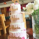 Pasteleria Torreon (231)