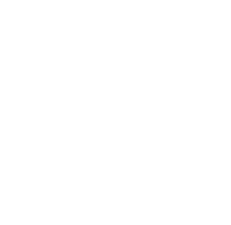 Grupo Kingans